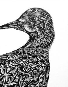 Pia Elliot- Curlew close up Monochrome artwork